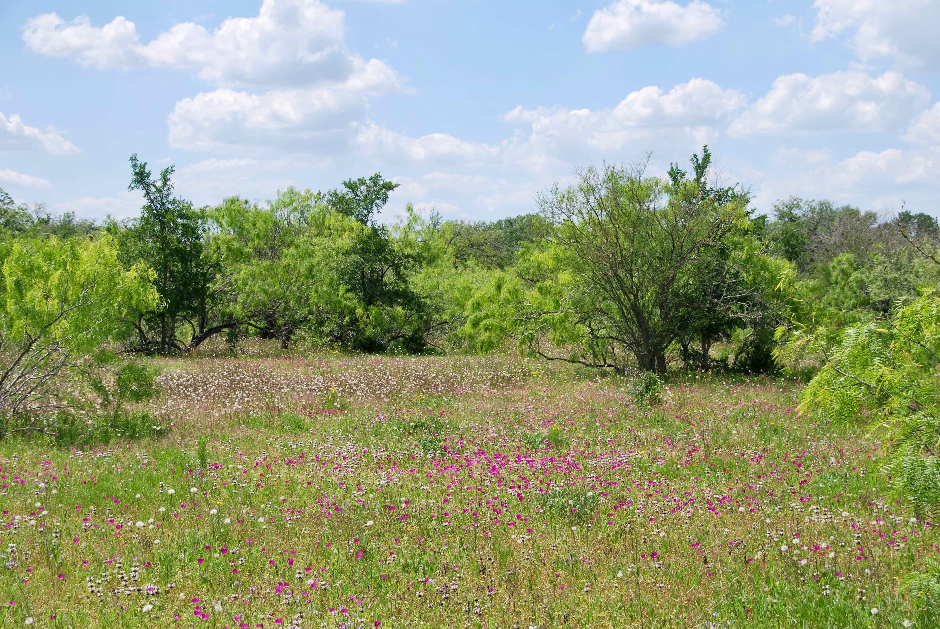 3892 County Road 397, Moulton, TX 77975 MLS 508516 LandWatch