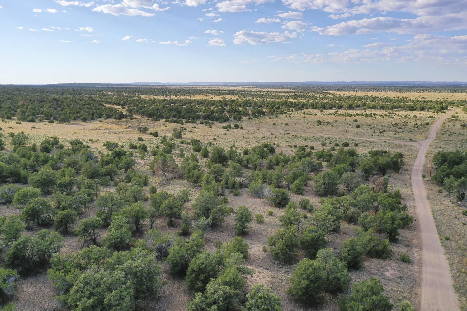 Fence Lake, Cibola County, NM Recreational Property, Undeveloped Land for sale Property ID