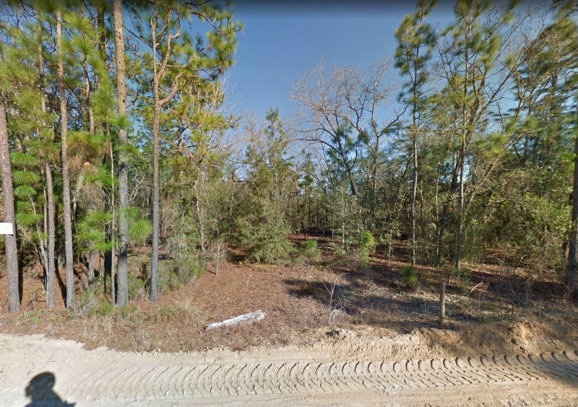 Interlachen, Putnam County, FL Recreational Property, Undeveloped Land