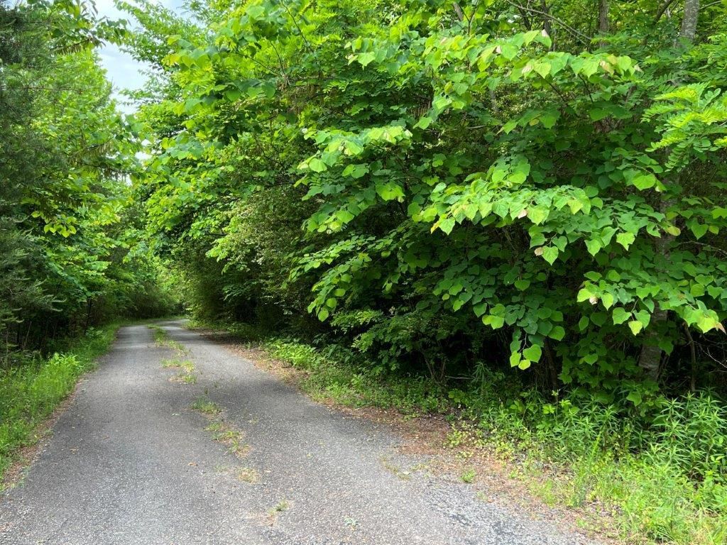 Bassett, Henry County, VA Recreational Property, Undeveloped Land for