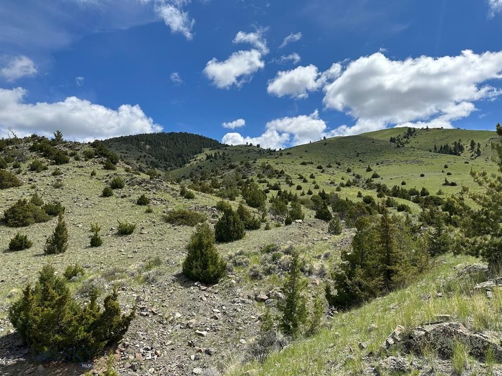 Whitehall, Jefferson County, MT Undeveloped Land for sale Property ID