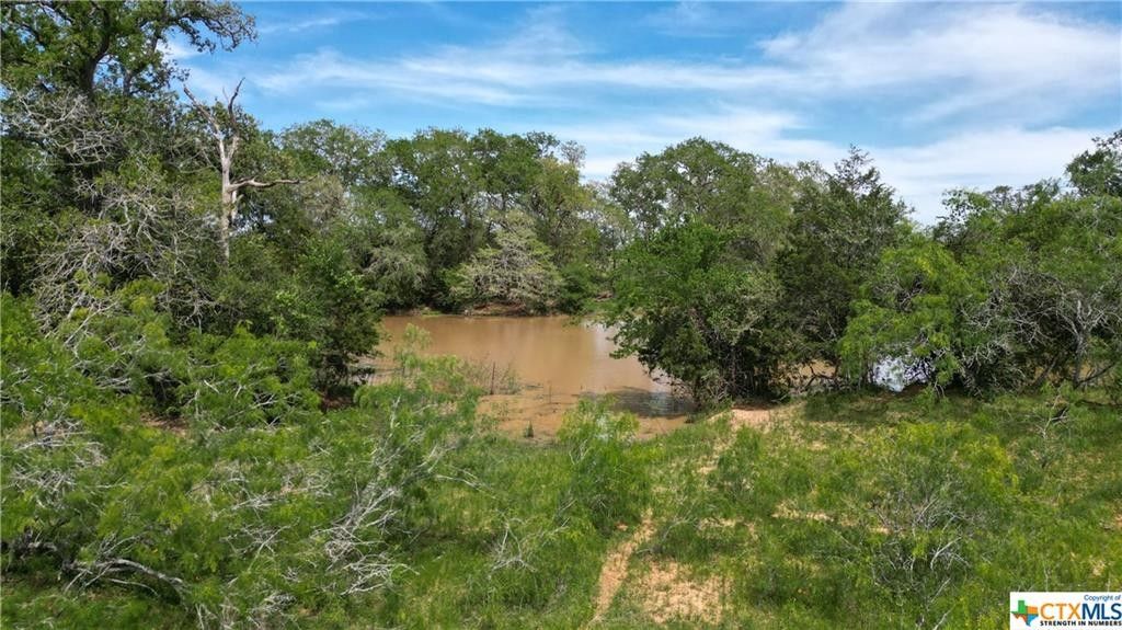 Rosanky, Bastrop County, TX Farms and Ranches, Lakefront Property, Waterfront Property for sale