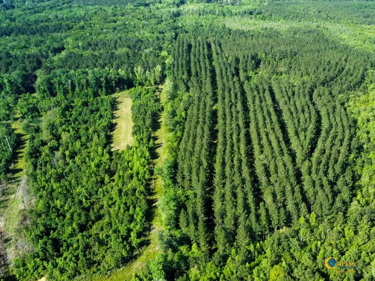 107 acres in Bamberg, SC, 29003 LandWatch