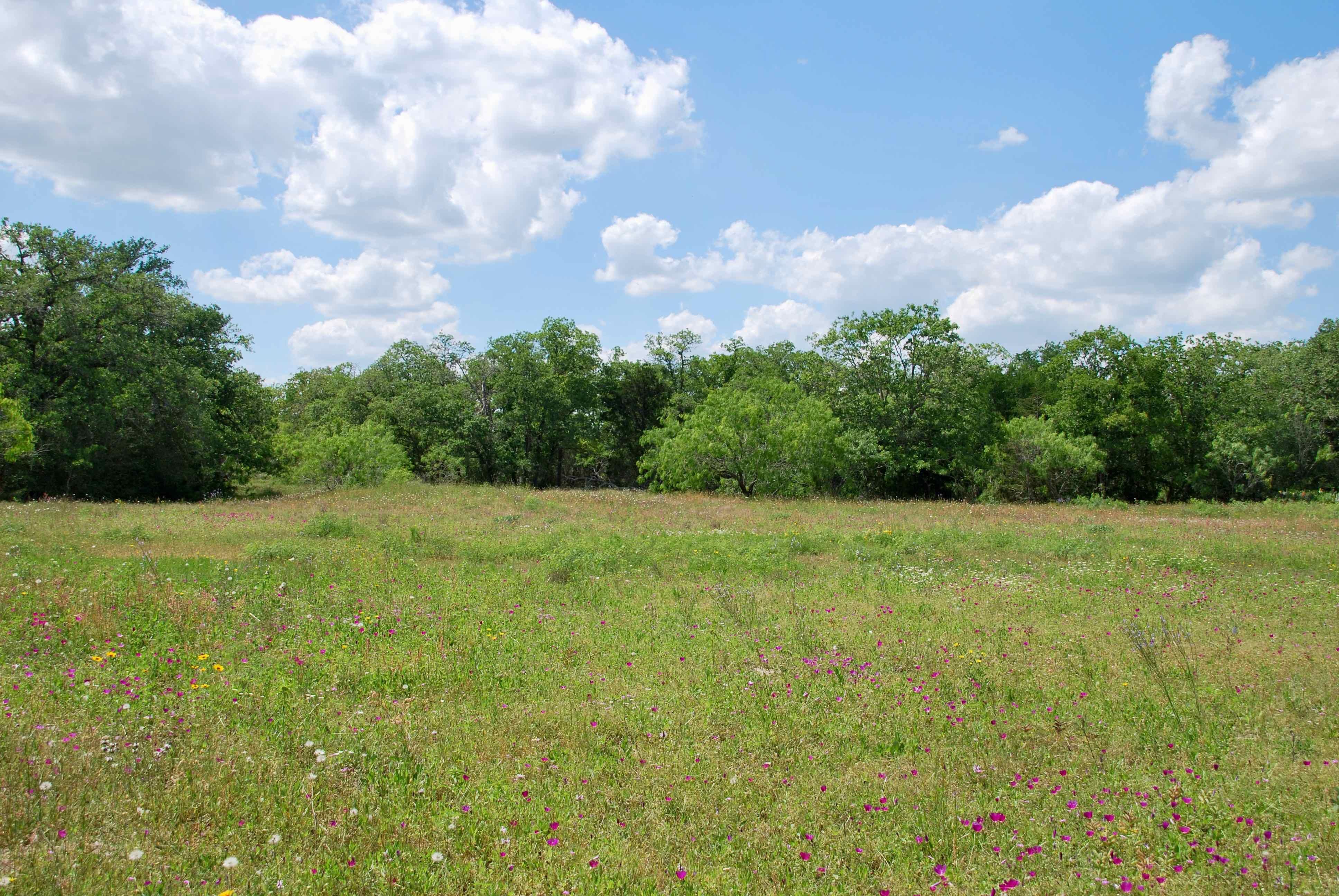 Moulton, Gonzales County, TX Recreational Property, Undeveloped Land