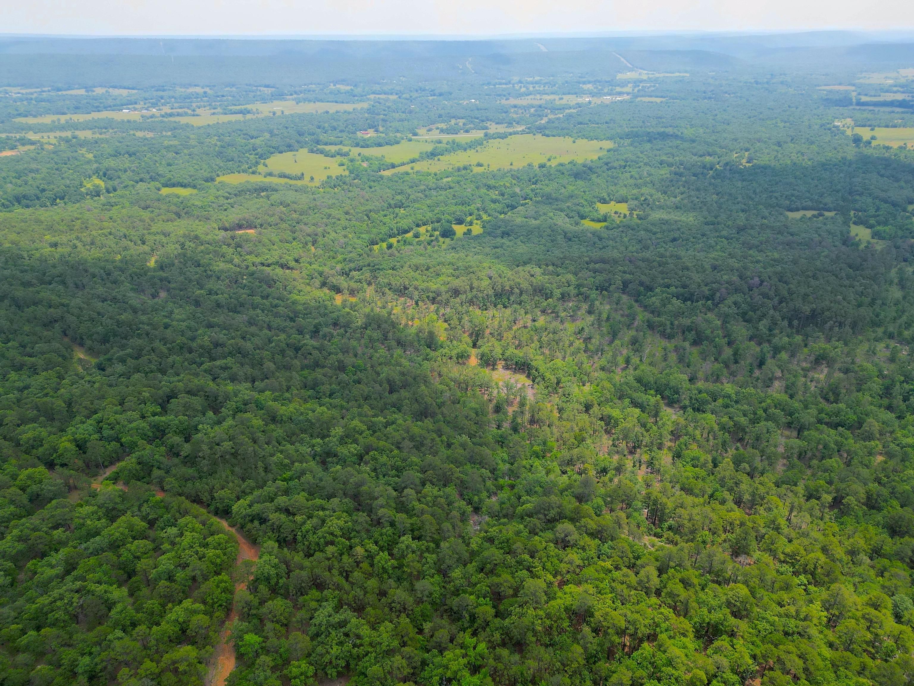 Goss School Road, Daisy, OK 74540 MLS 3511910028 LandWatch