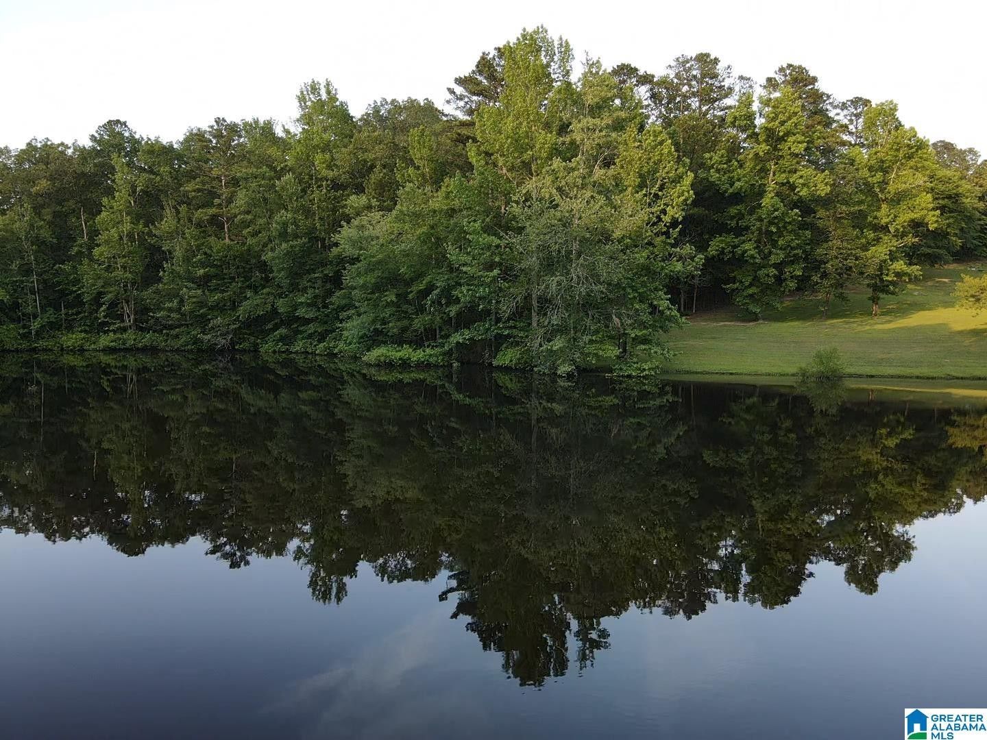 Riverside, Saint Clair County, AL Farms and Ranches for sale Property