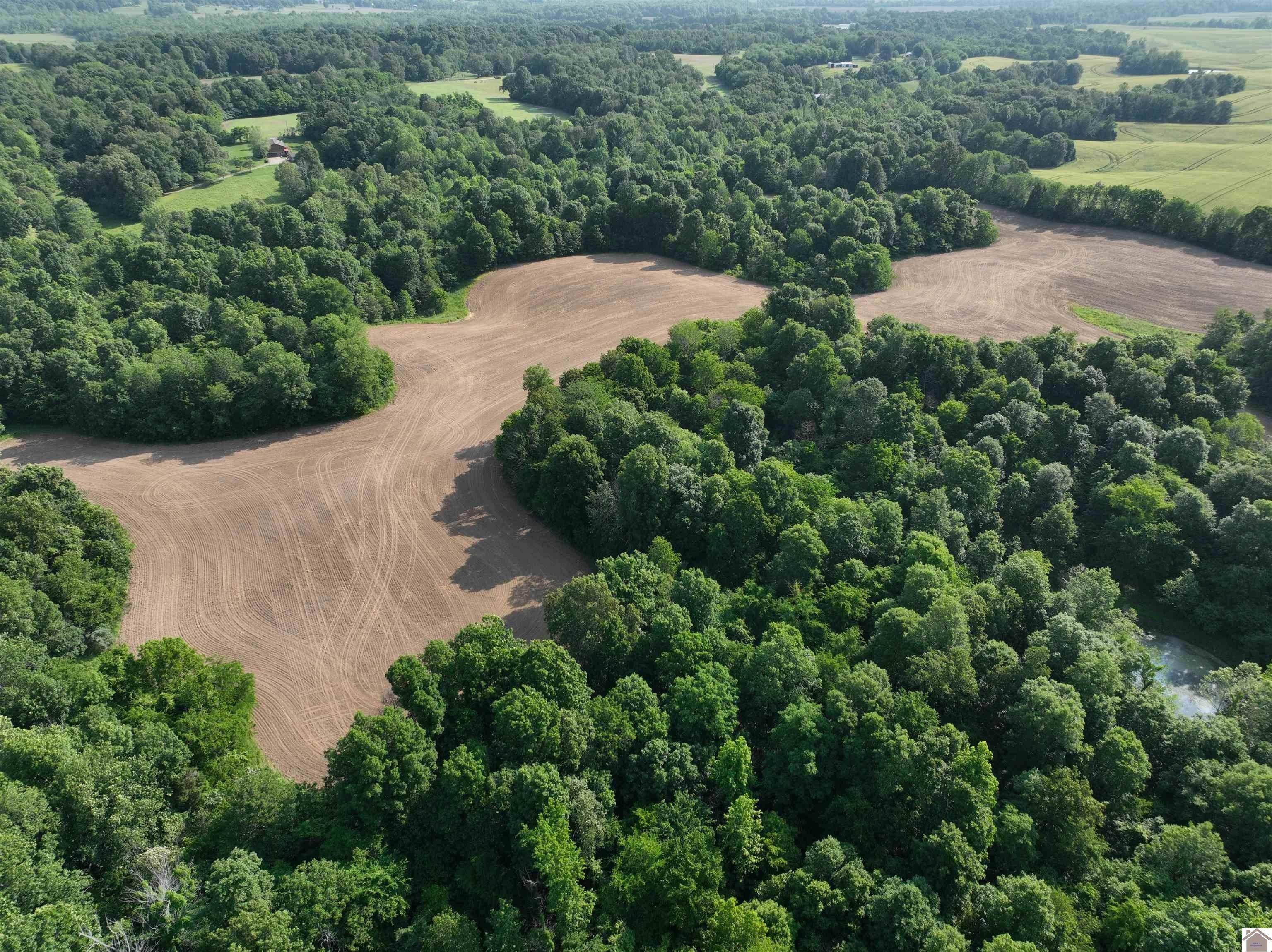 Mayfield, Graves County, KY Farms and Ranches for sale Property ID
