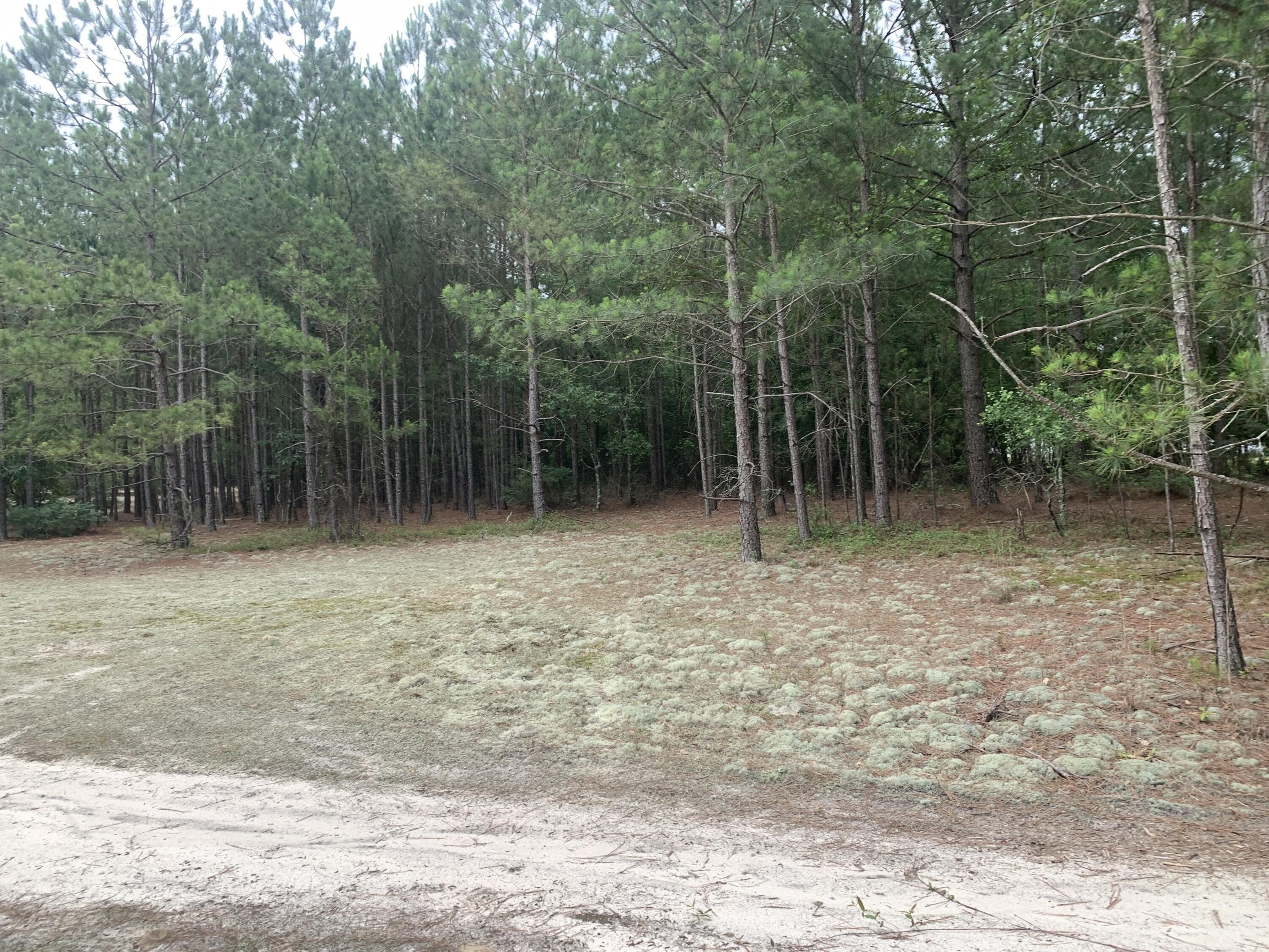 Ridge Spring, Aiken County, SC for sale Property ID 416589334 LandWatch