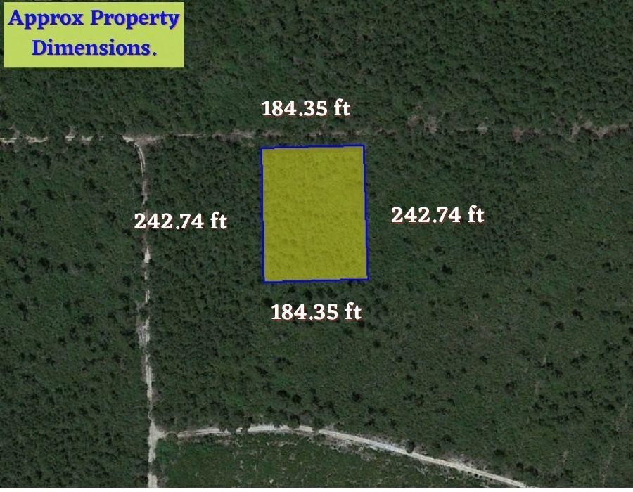 Florahome, Putnam County, FL Recreational Property, Undeveloped Land