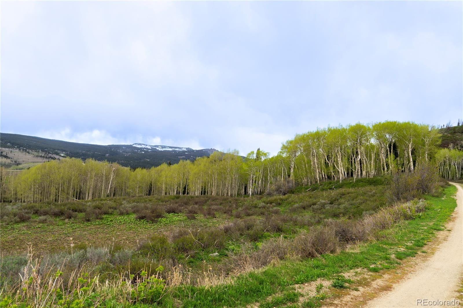 Kremmling, Grand County, CO Undeveloped Land for sale Property ID