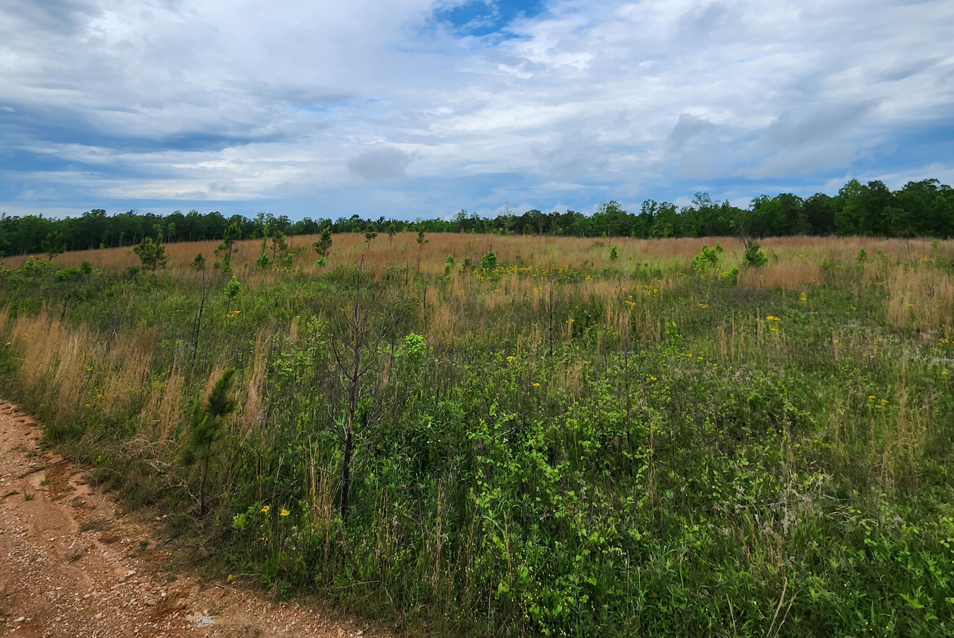 30.79 acres in Fruithurst, AL, 36262 LandWatch