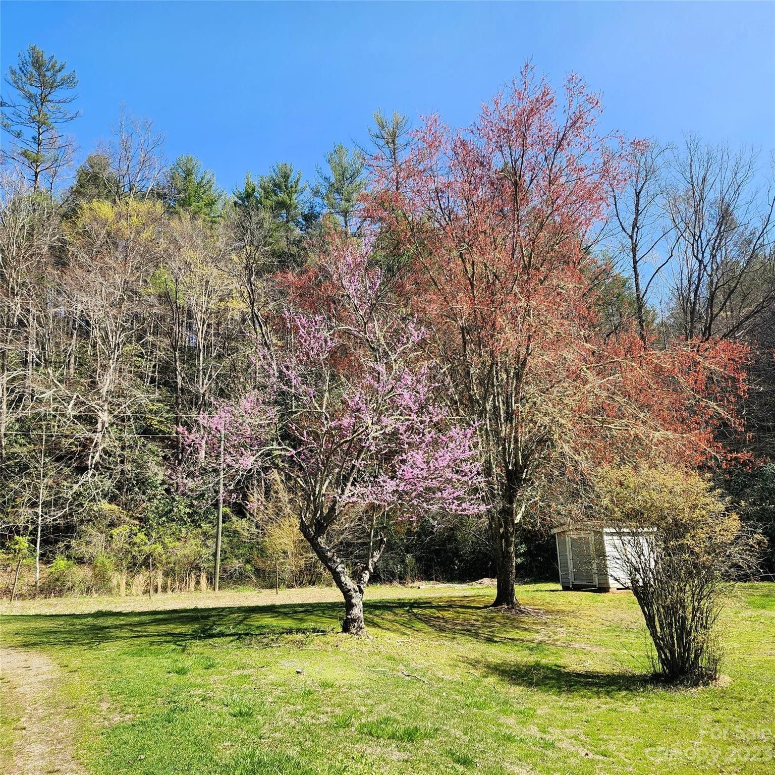 Collettsville, Caldwell County, NC Farms and Ranches for sale Property