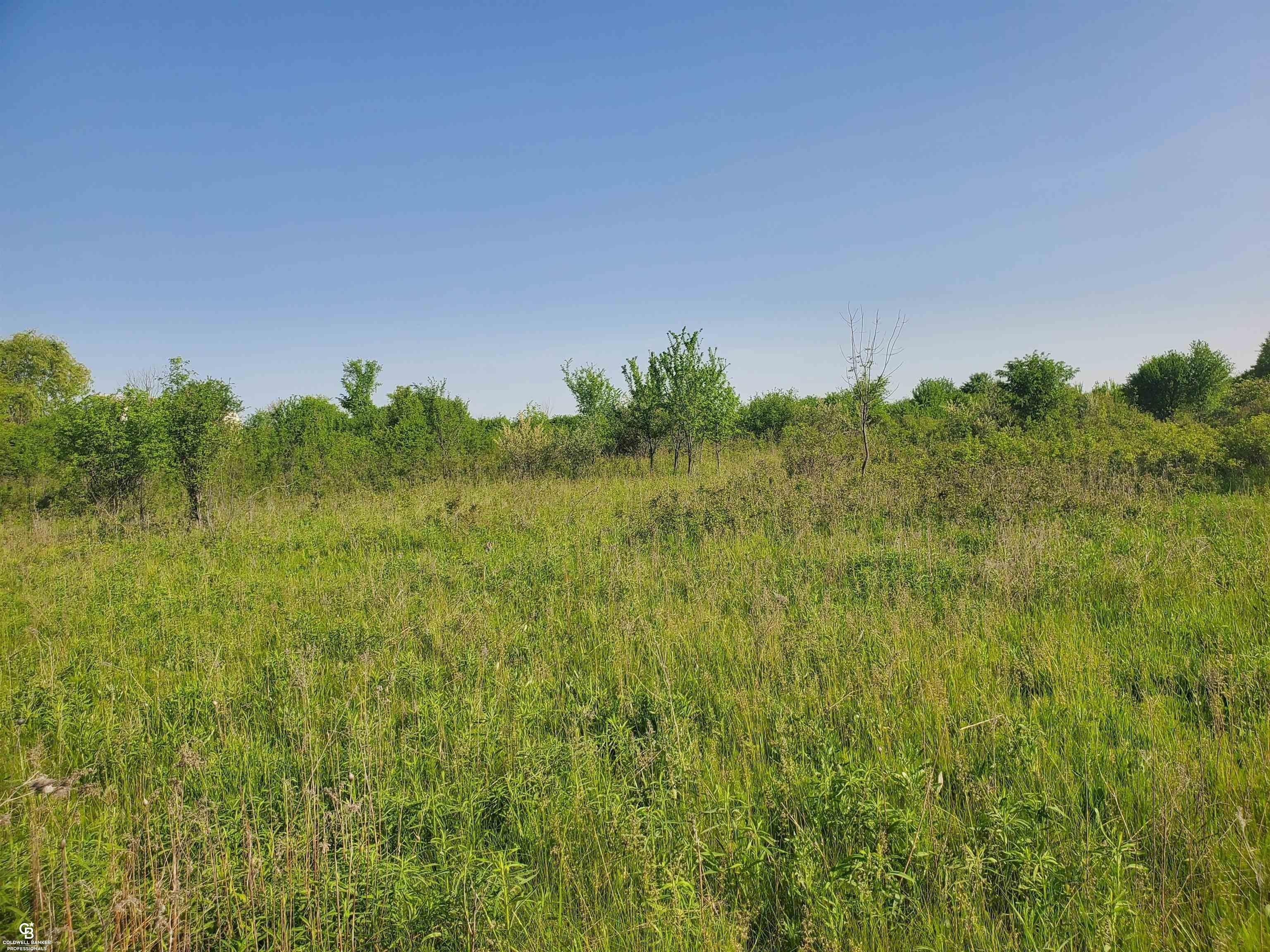 Yale, Saint Clair County, MI Farms and Ranches, Homesites for sale