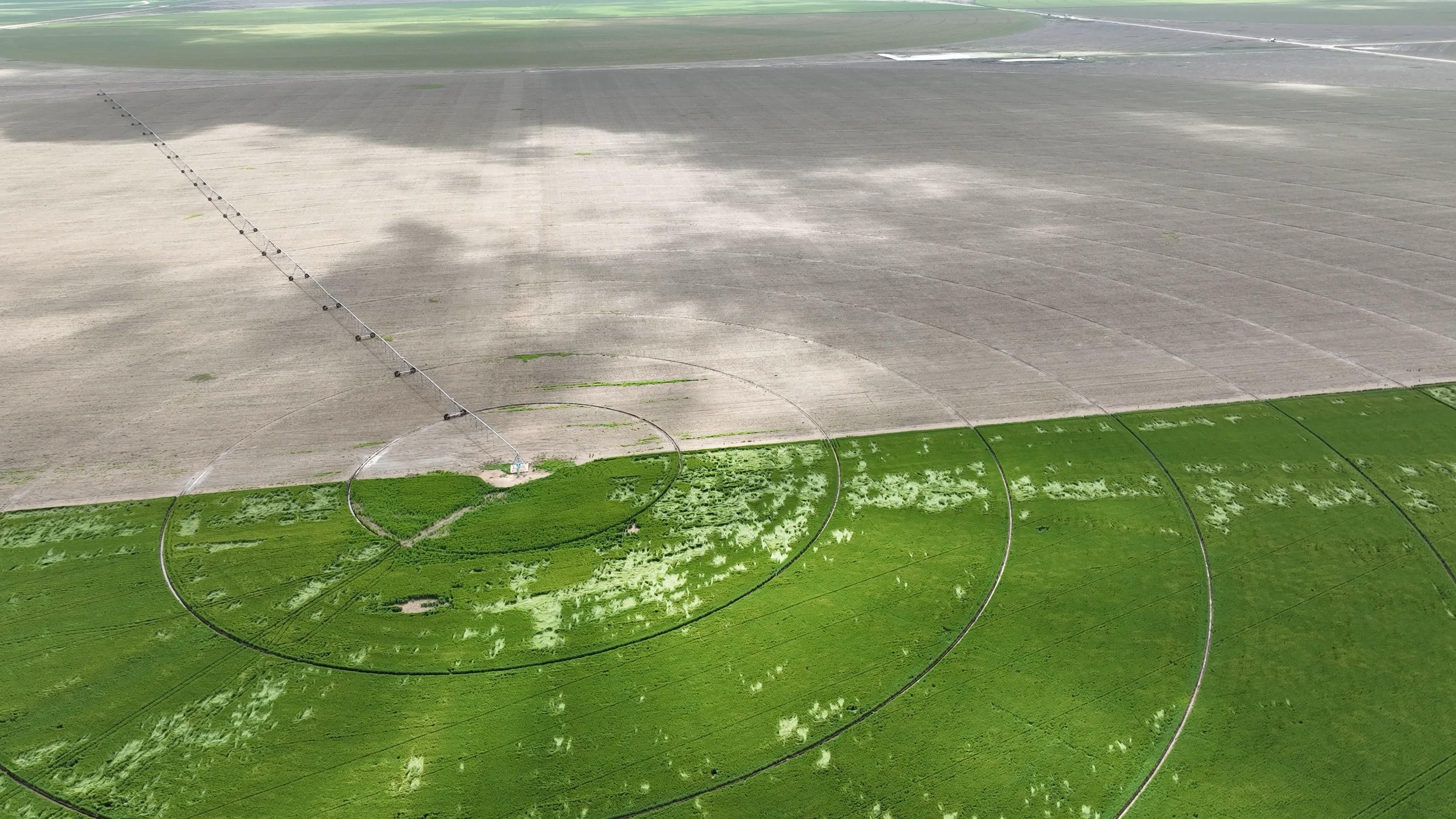 3,719.94 acres in Gruver, TX, 79040 LandWatch