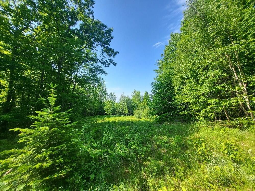 Dixfield, Oxford County, ME Farms and Ranches for sale Property ID