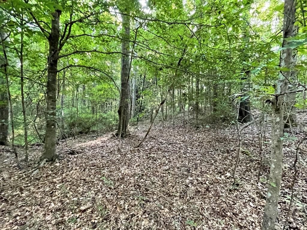Wesson, Lincoln County, MS Recreational Property, Timberland Property