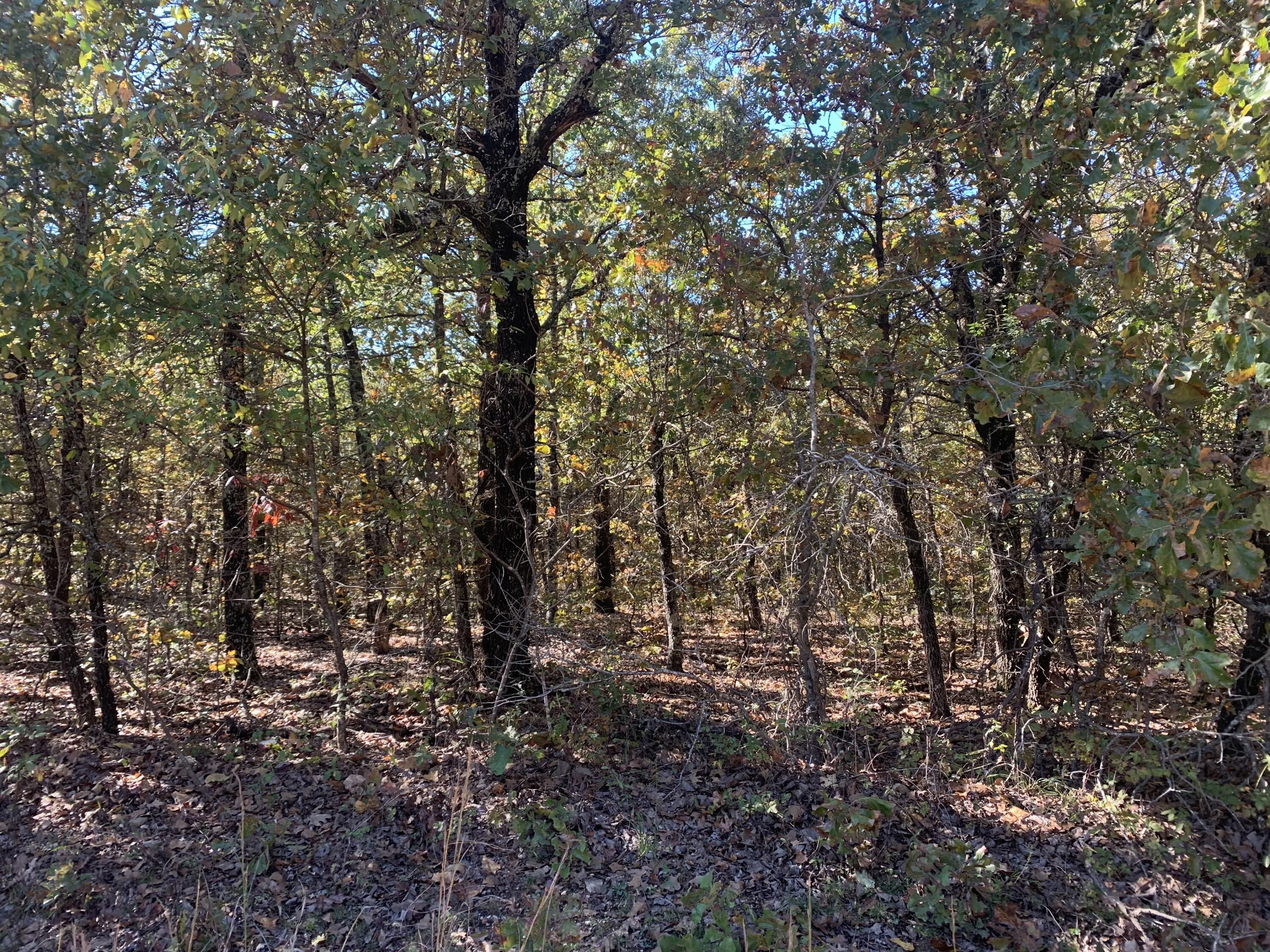 Ravenden, Randolph County, AR Hunting Property for sale Property ID