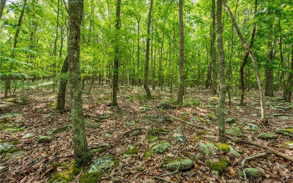 Jasper, Pickens County, GA for sale Property ID 416596985 LandWatch