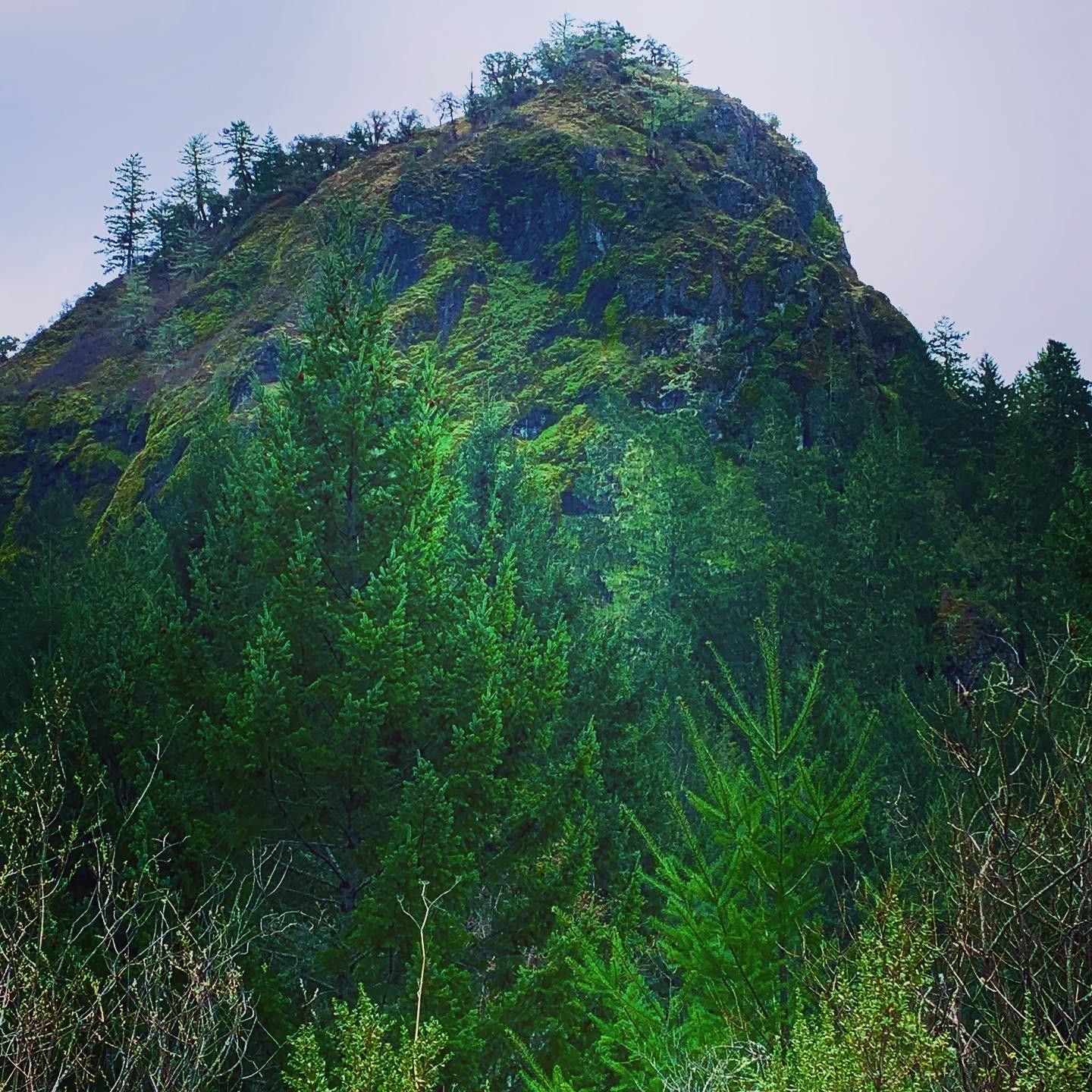 Bridgeville, Humboldt County, CA Farms and Ranches for sale Property ID