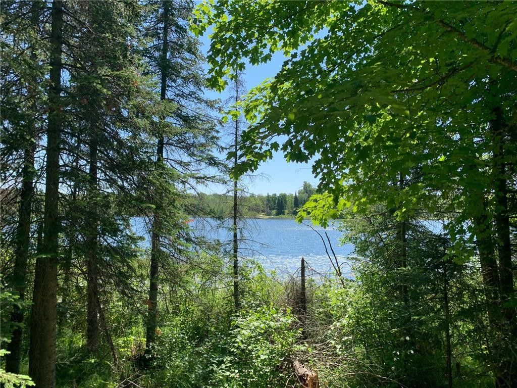 Hackensack, Cass County, MN Undeveloped Land, Lakefront Property