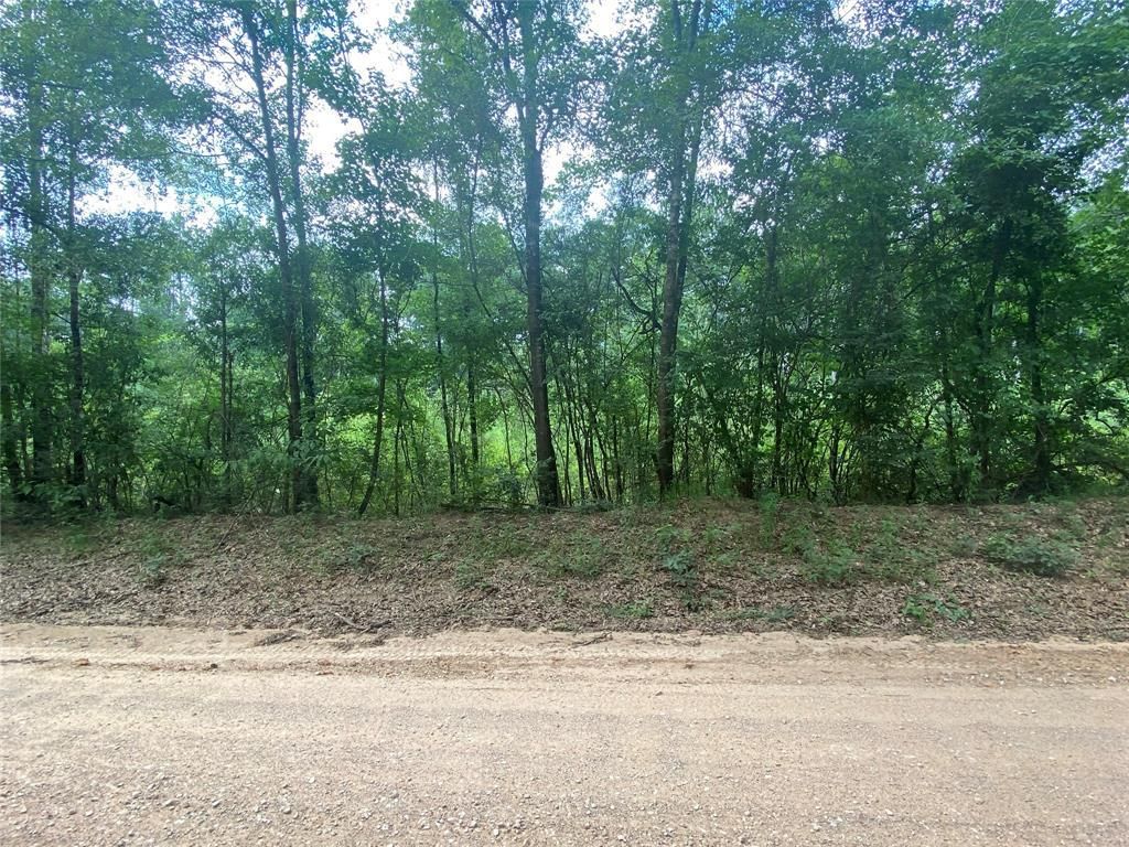 Warren, Tyler County, TX Recreational Property, Undeveloped Land