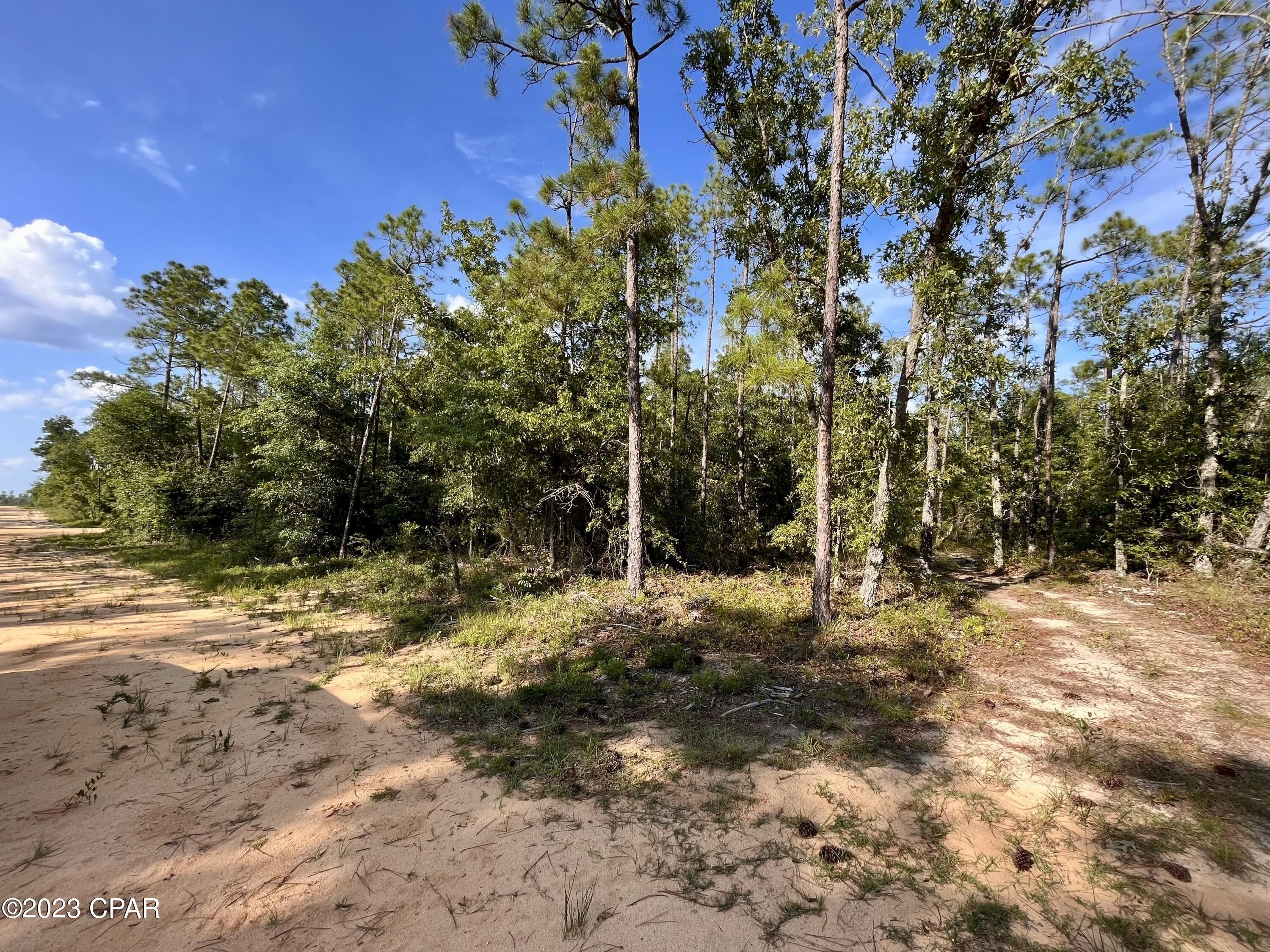 Alford, Jackson County, FL Undeveloped Land, Homesites for sale