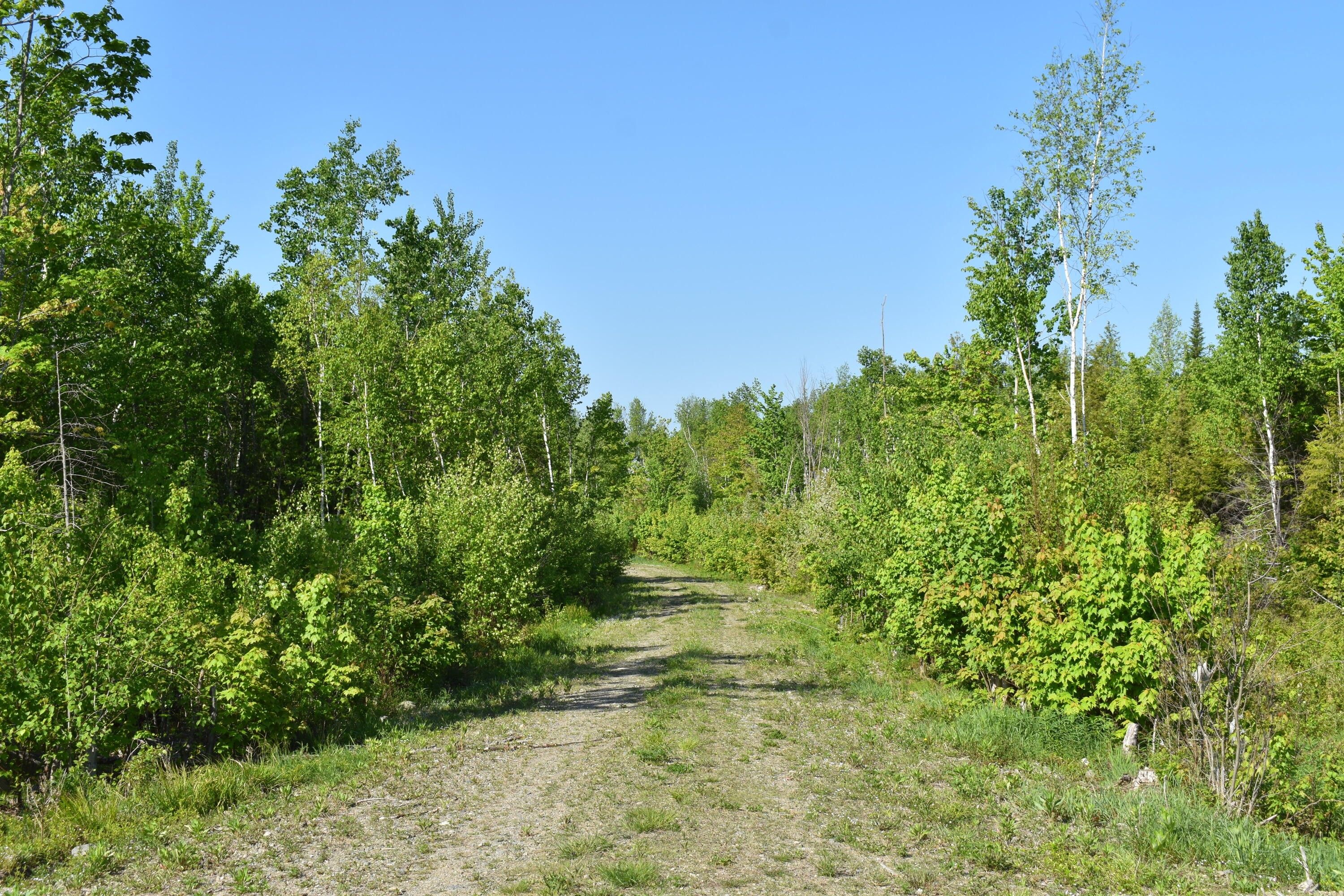 Passadumkeag, Penobscot County, ME Farms and Ranches for sale Property