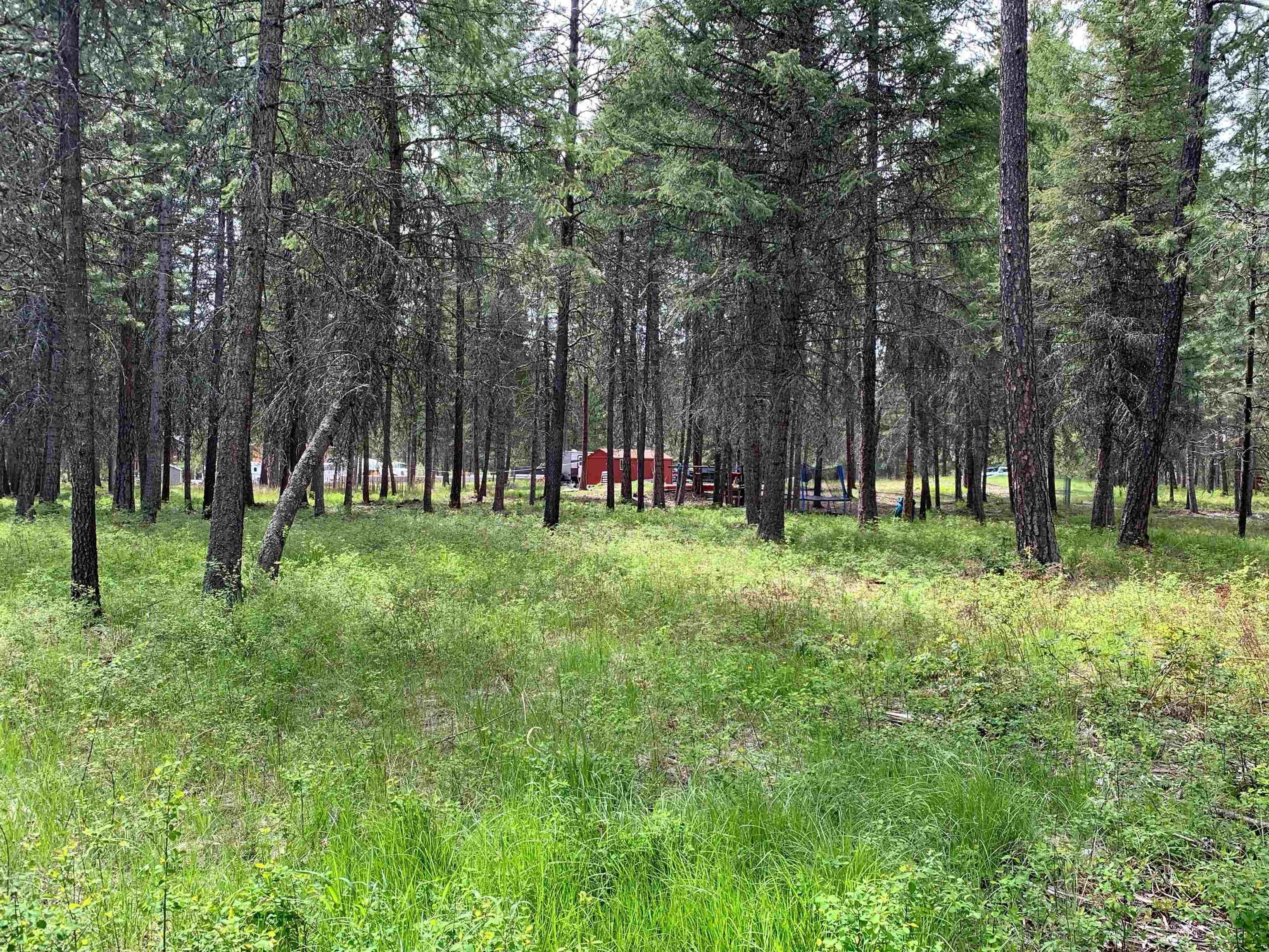 Loon Lake, Stevens County, WA Undeveloped Land for sale Property ID