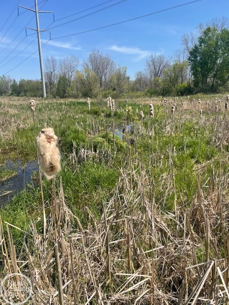 Pinckney, Livingston County, MI Farms and Ranches, Homesites for sale