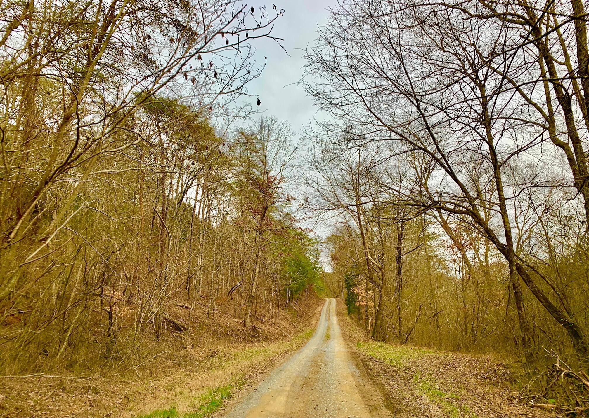 Chickamauga, Walker County, GA Undeveloped Land for sale Property ID