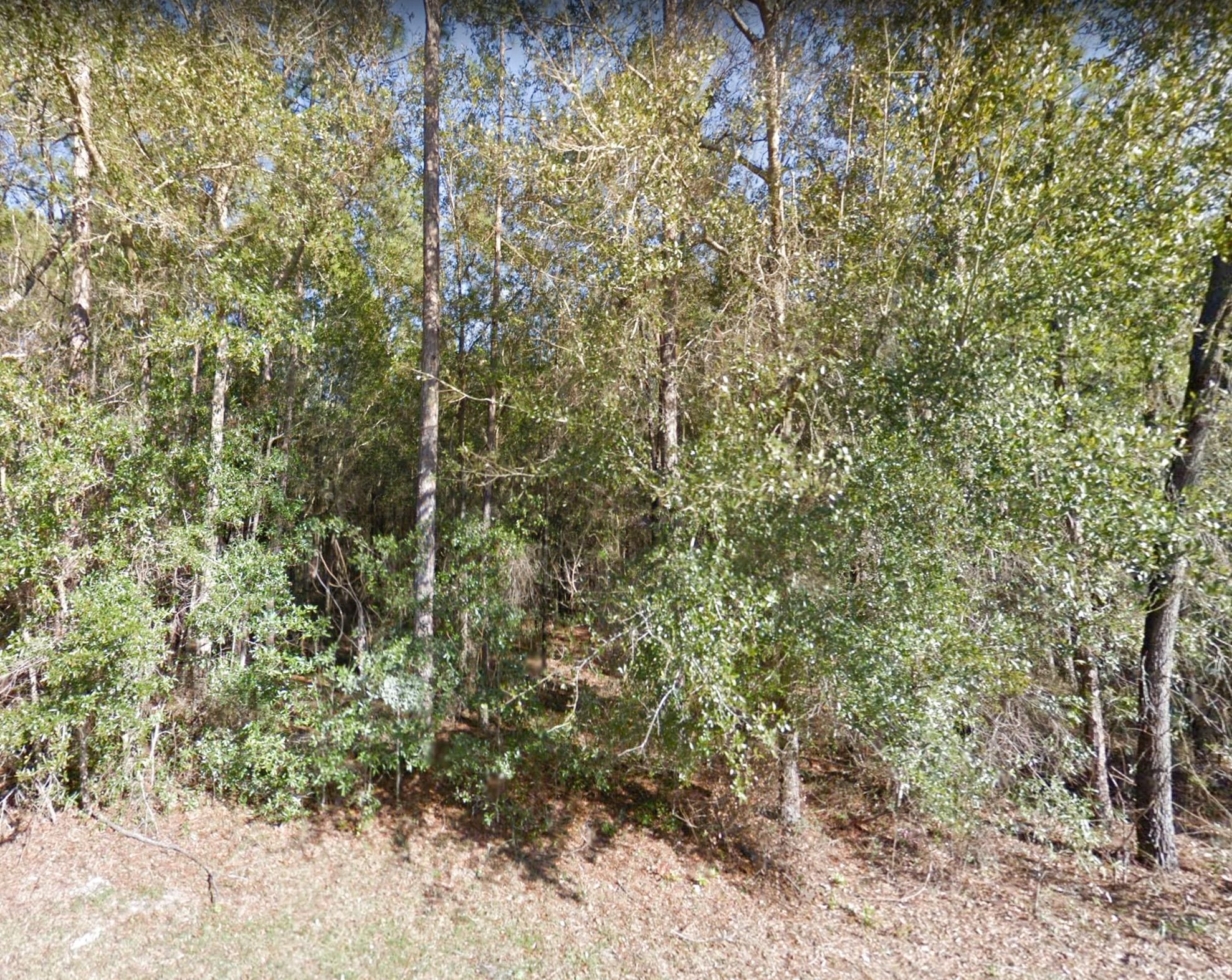 Bronson, Levy County, FL Undeveloped Land, Homesites for sale Property