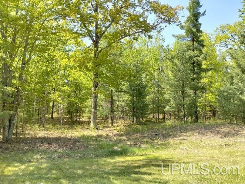 Rapid River, Delta County, MI Undeveloped Land, Homesites for sale