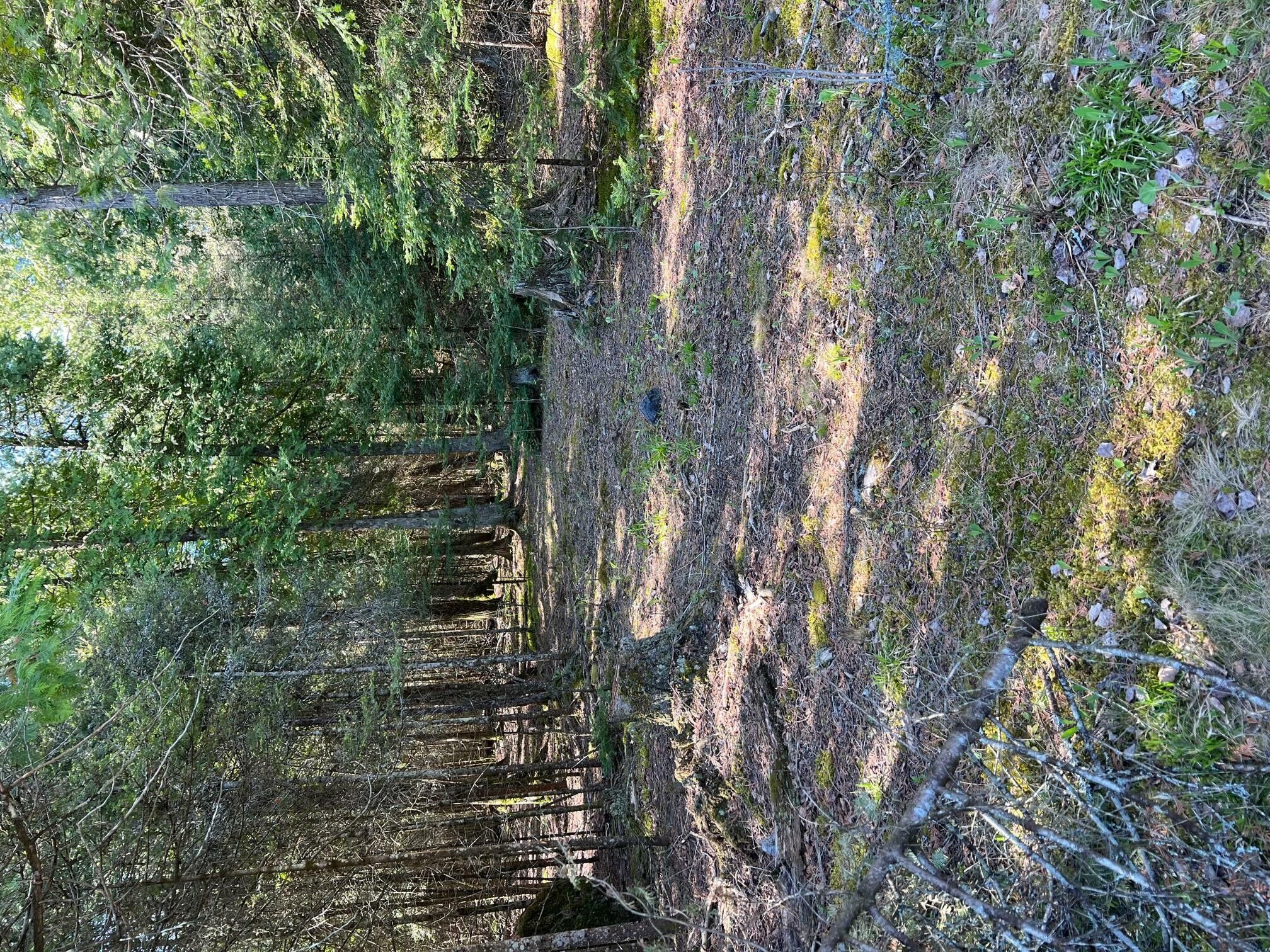 Hessel, Mackinac County, MI Farms and Ranches, Homesites for sale