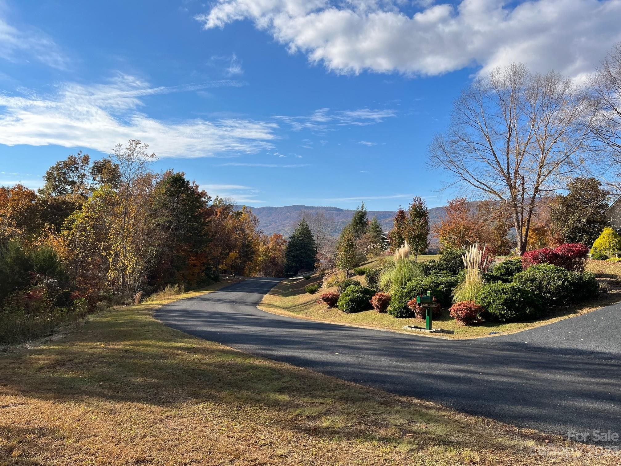 Mill Spring, Polk County, NC Farms and Ranches for sale Property ID