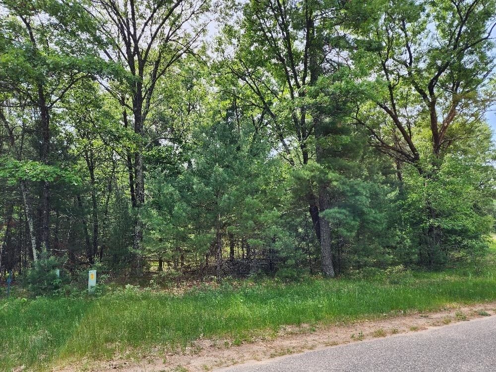 Arkdale, Adams County, WI Undeveloped Land, Homesites for sale Property ID 415550606 LandWatch