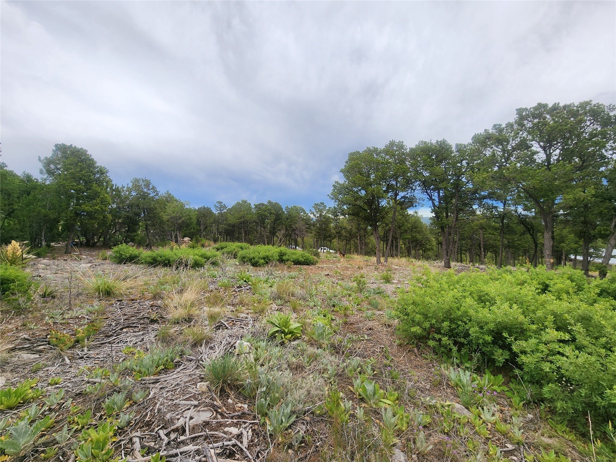 Pecos, San Miguel County, NM Farms and Ranches, Homesites for sale