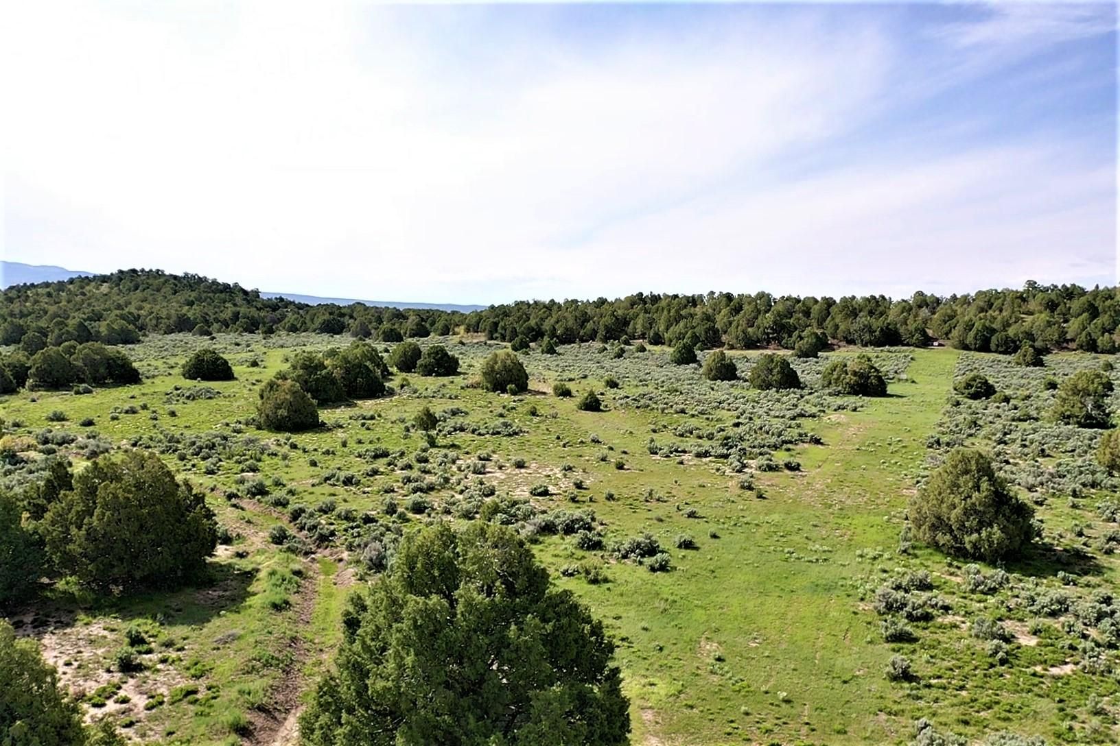 Tierra Amarilla, Rio Arriba County, NM Farms and Ranches, Recreational