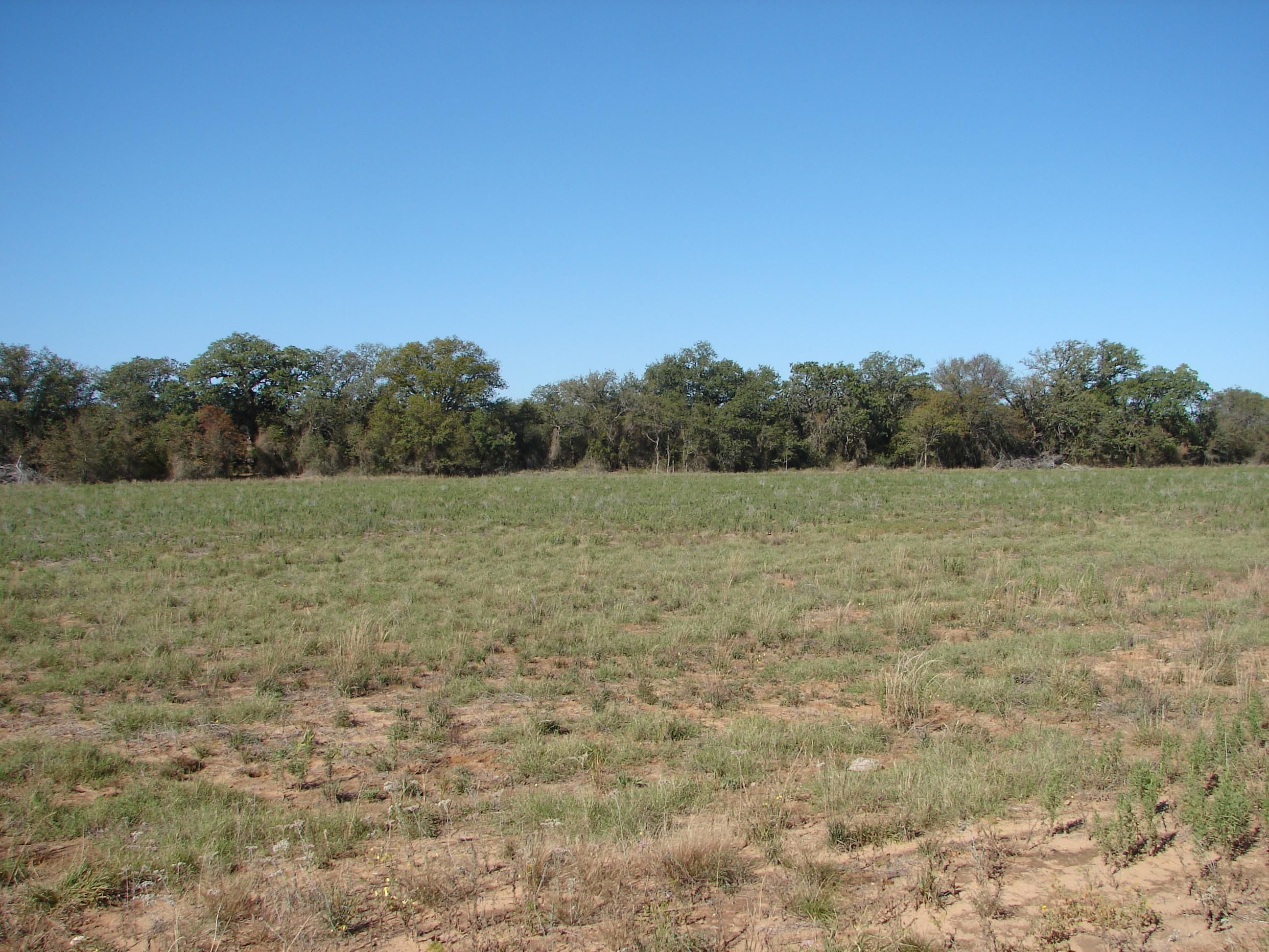 36 acres in Nolan, TX, 79556 LandWatch