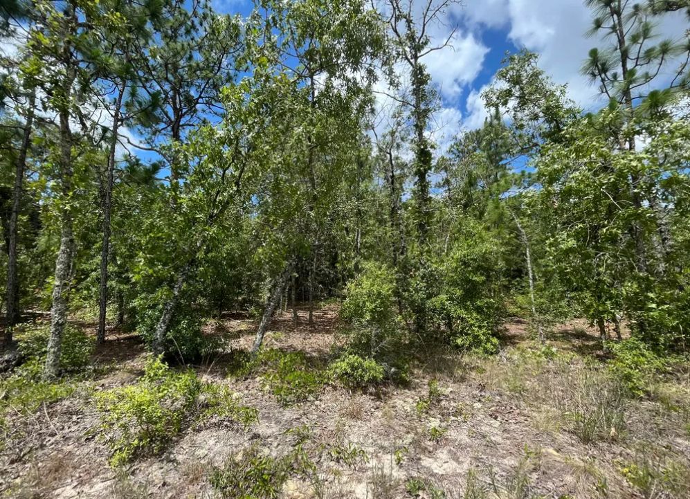 Keystone Heights, Clay County, FL Recreational Property, Undeveloped