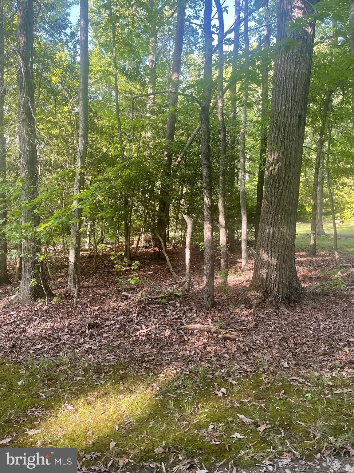 King King County, VA Undeveloped Land, Homesites for