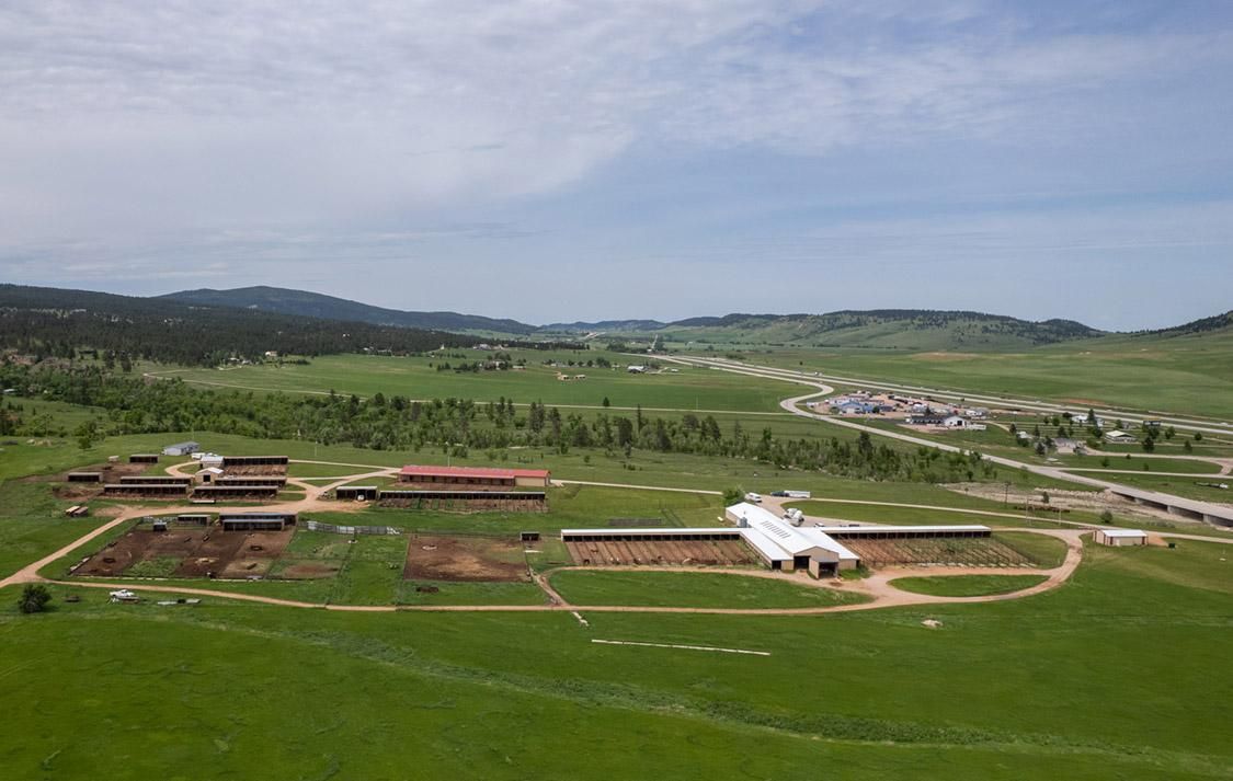 13175 High Plains Place, Piedmont, SD 57769 LandWatch