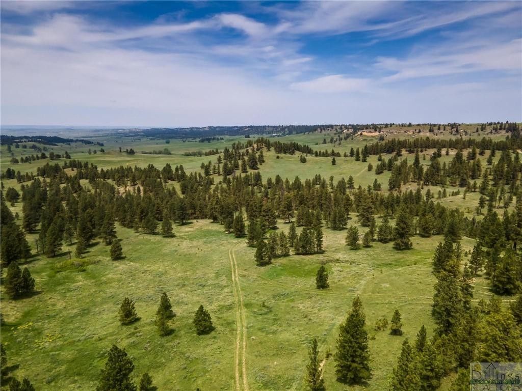 Forsyth, Rosebud County, MT Farms and Ranches for sale Property ID