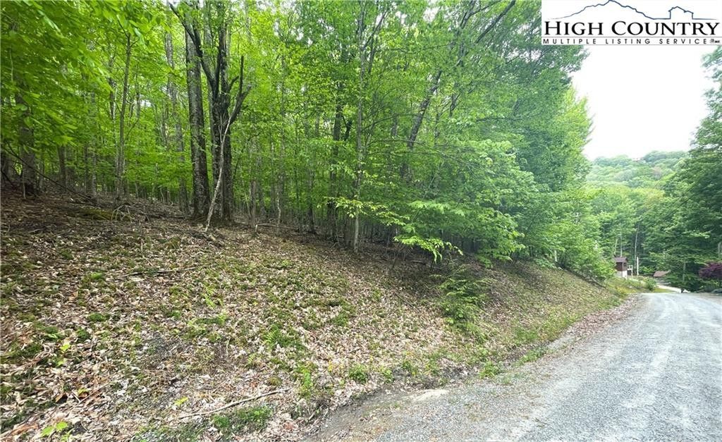 Beech Mountain, Watauga County, NC Farms and Ranches, Homesites for