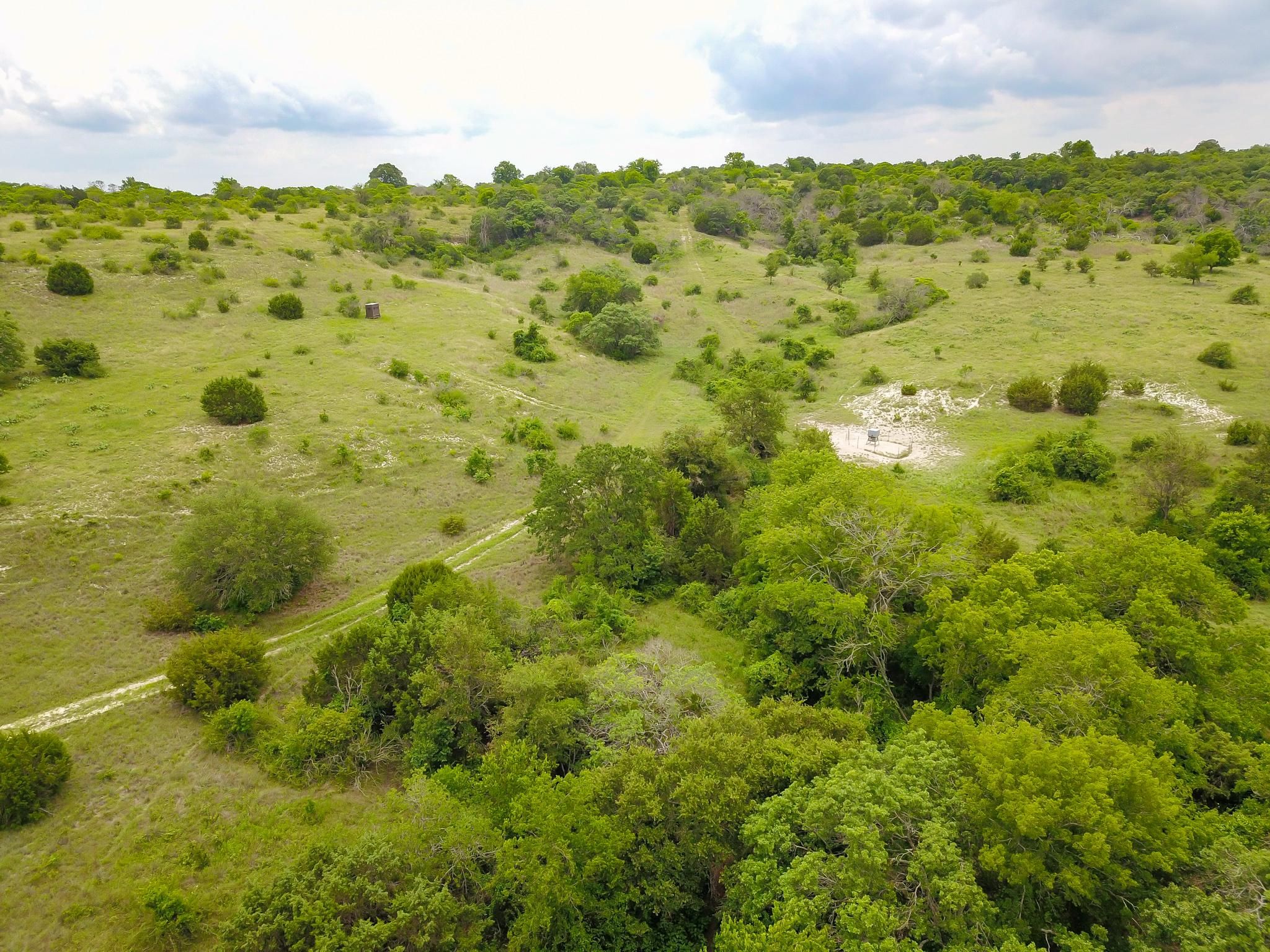 Goldthwaite, Mills County, TX Hunting Property for sale Property ID