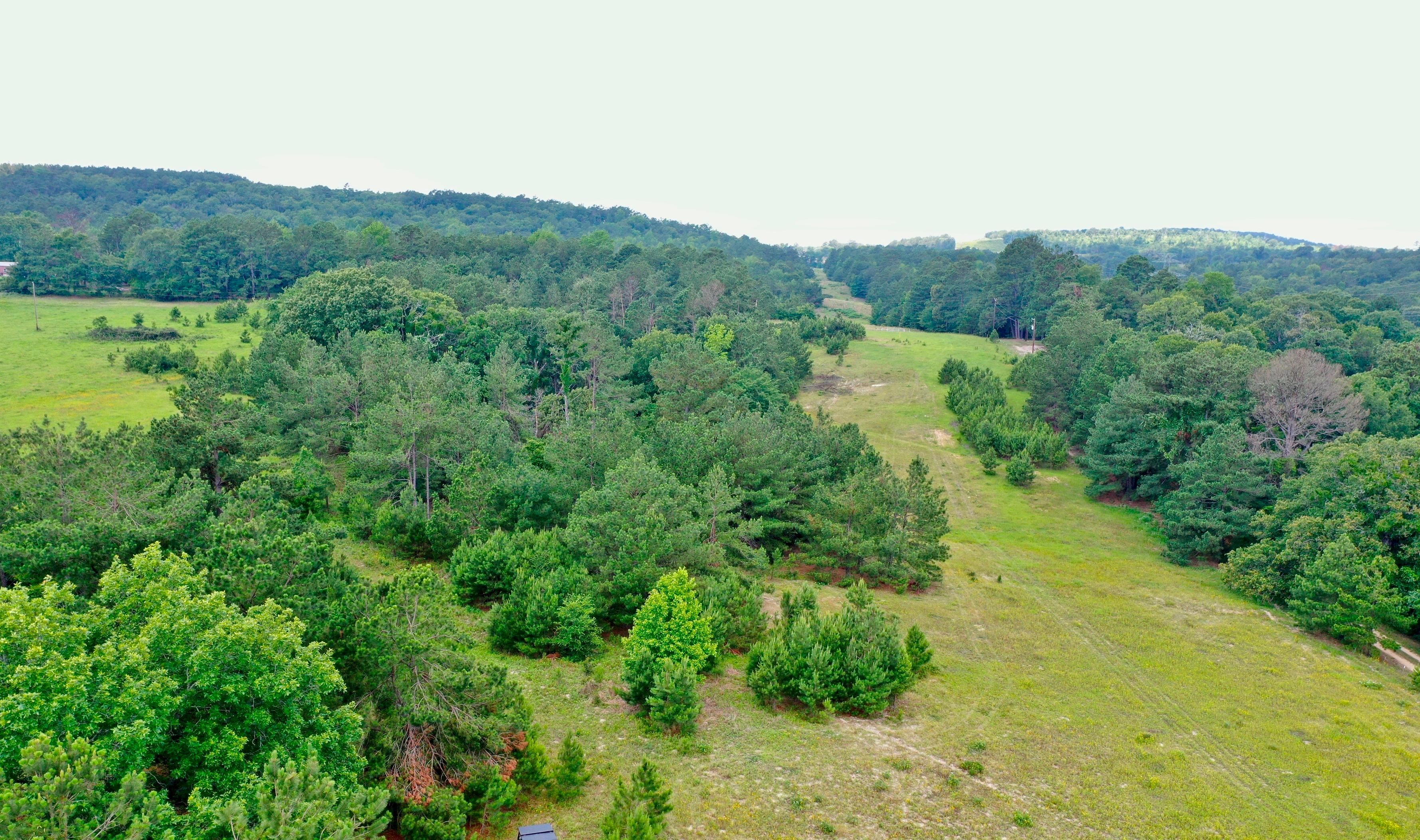 Palestine, Anderson County, TX Recreational Property, Timberland