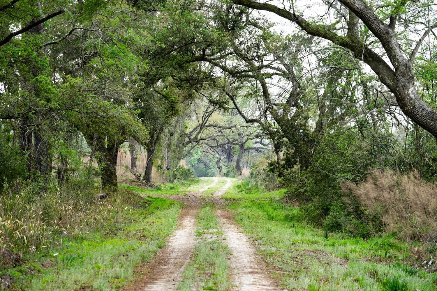 896 acres in Coosawhatchie, SC, 29912 LandWatch