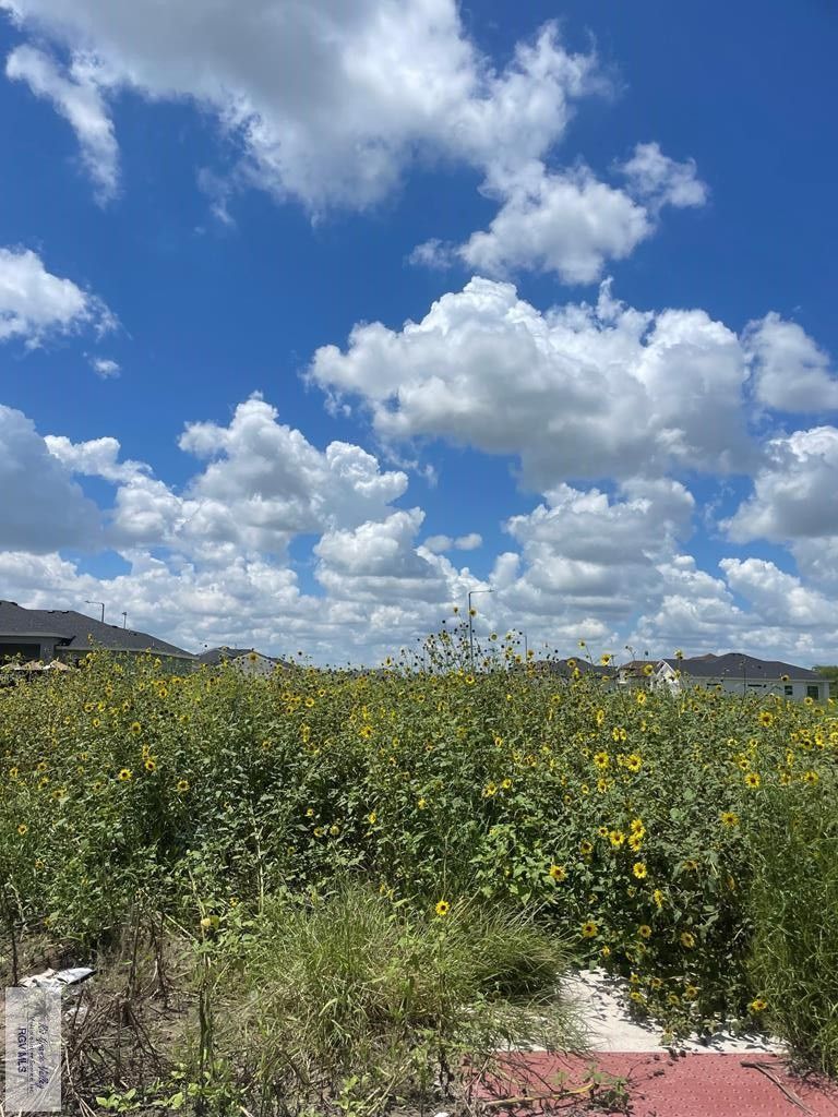 Brownsville, Cameron County, TX Farms and Ranches, Homesites for sale