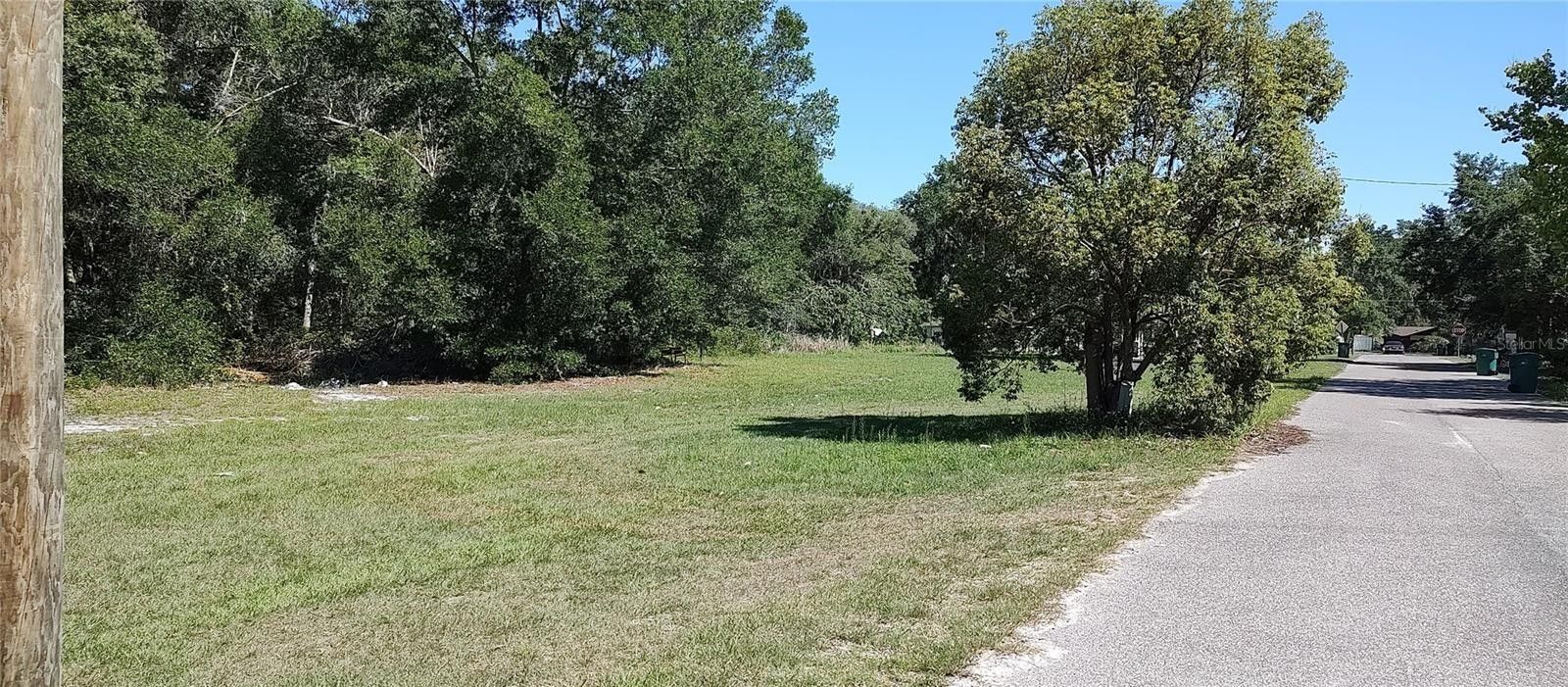 Eustis, Lake County, FL Farms and Ranches, Homesites for sale Property