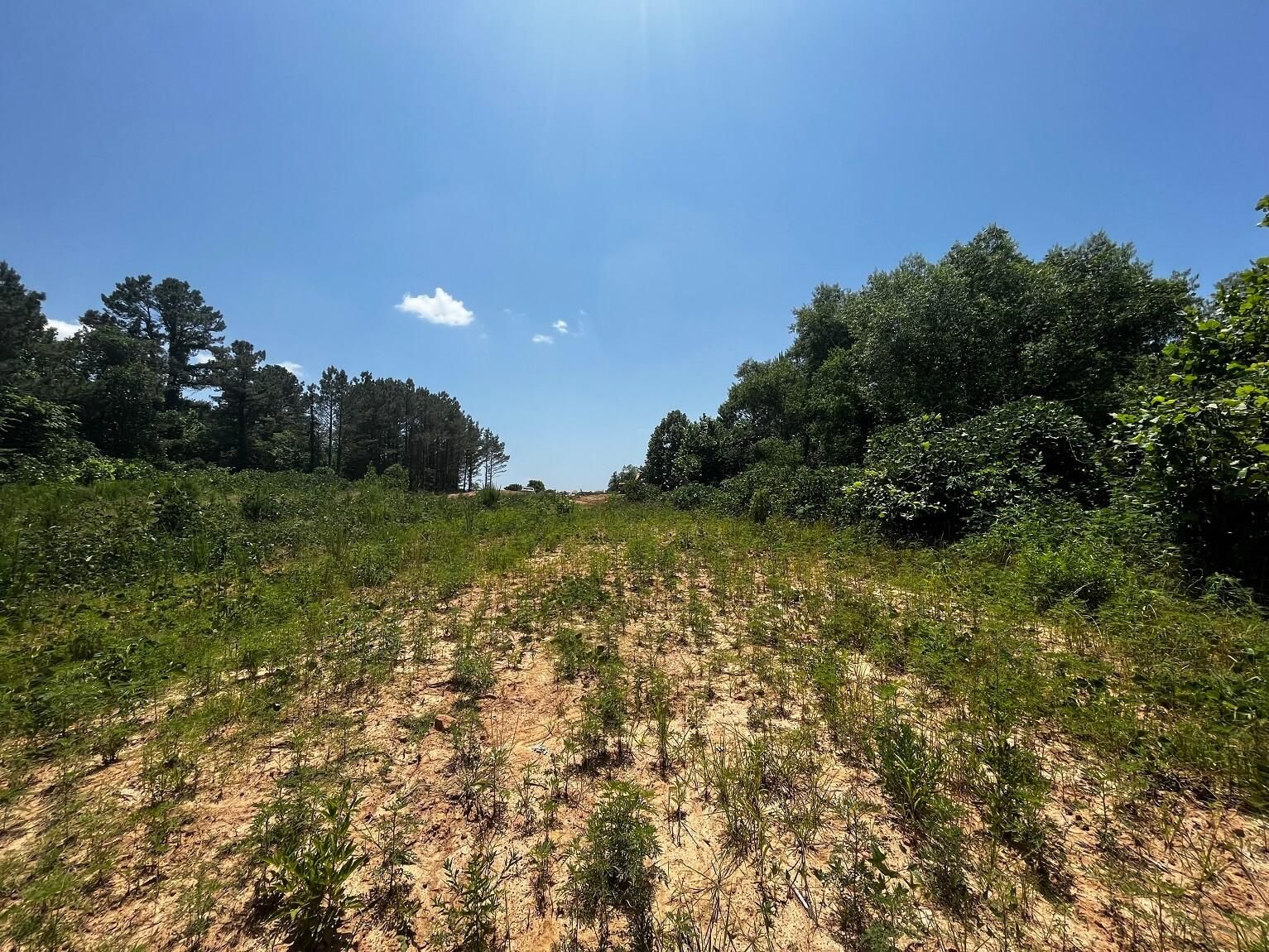 Holly Springs, Marshall County, MS Hunting Property for sale Property