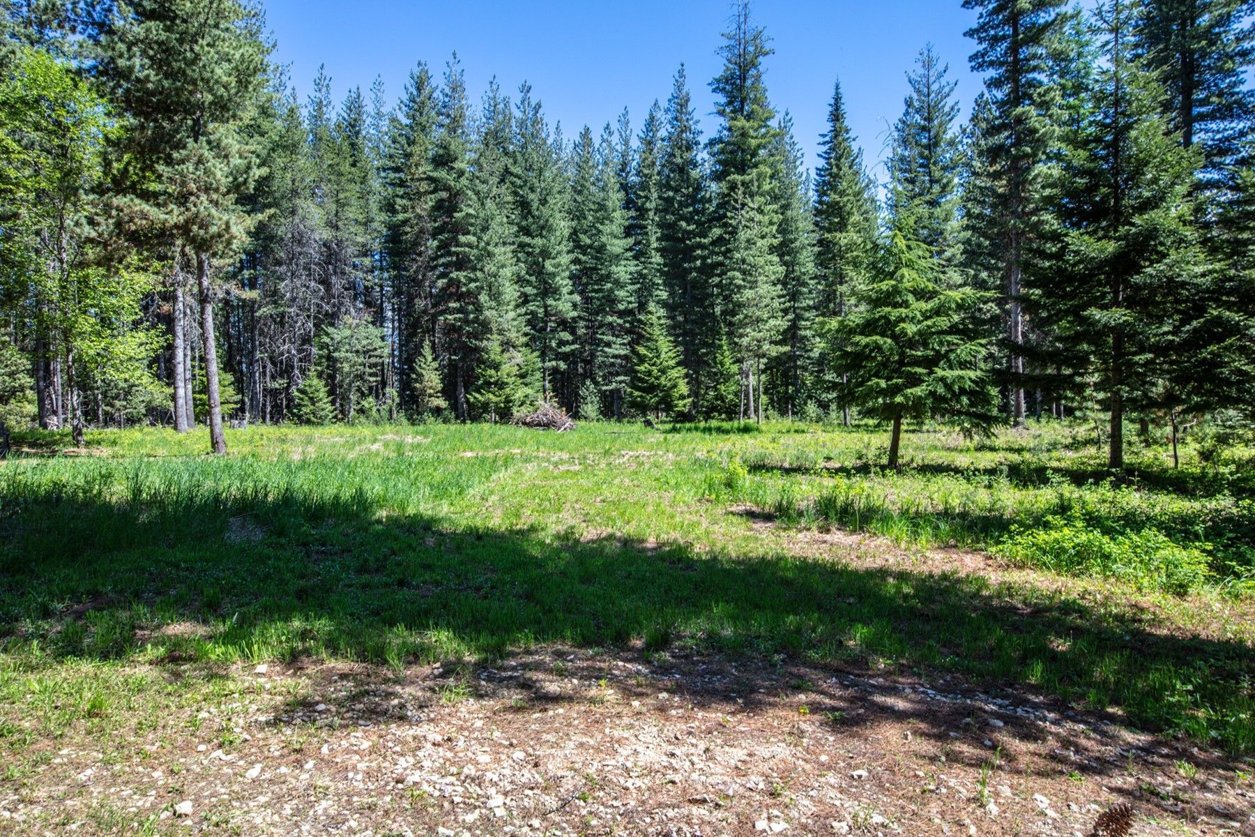 sandpoint-bonner-county-id-undeveloped-land-for-sale-property-id